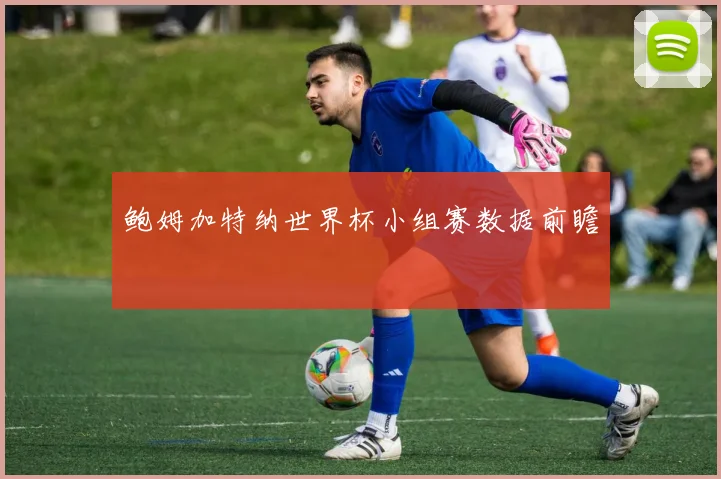 鲍姆加特纳世界杯小组赛数据前瞻