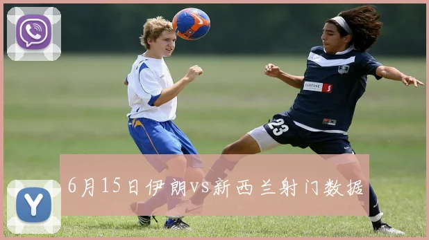 6月15日伊朗vs新西兰射门数据