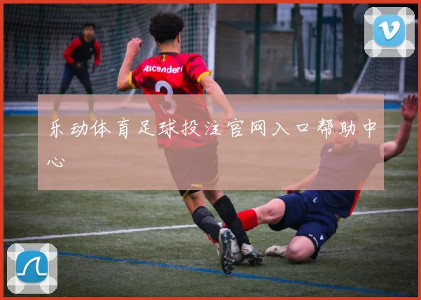 乐动体育足球投注官网入口帮助中心