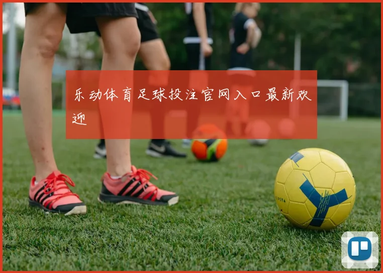 乐动体育足球投注官网入口最新欢迎