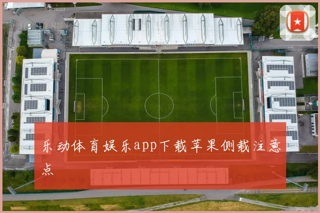 乐动体育娱乐app下载苹果侧载注意点