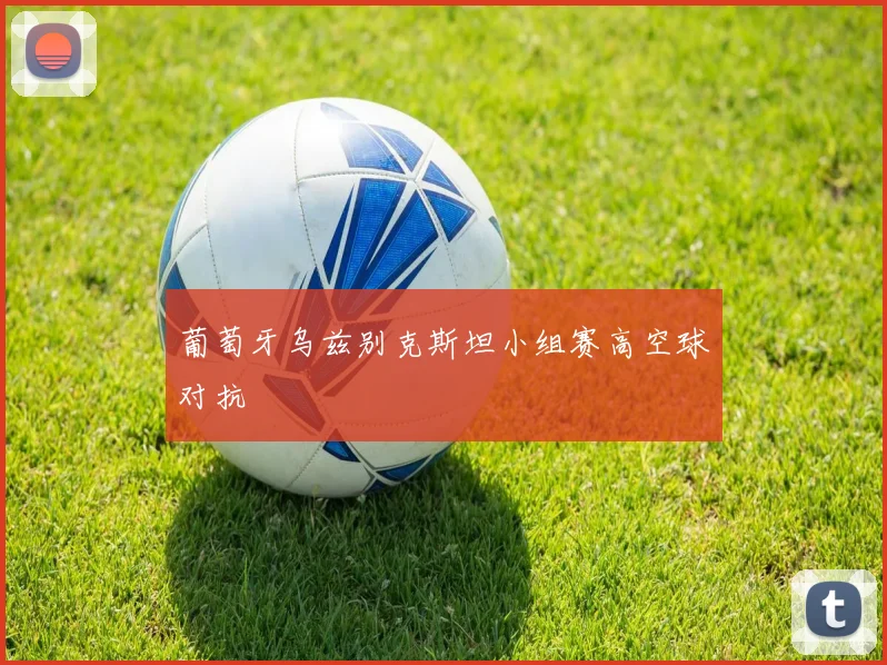 葡萄牙乌兹别克斯坦小组赛高空球对抗