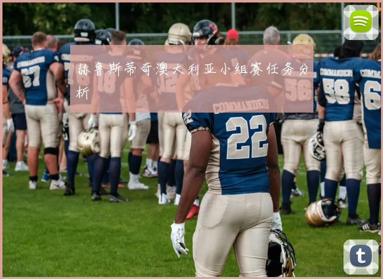 赫鲁斯蒂奇澳大利亚小组赛任务分析